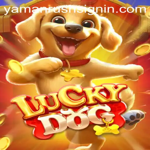 LuckyDog: A Thrilling Game of Opportunity with YAMANRUSH